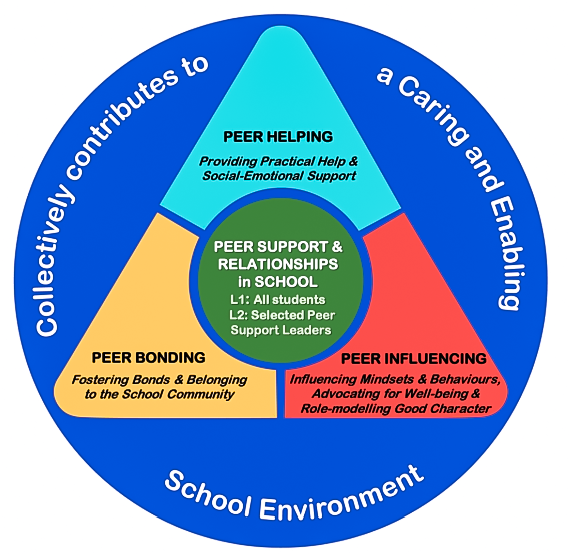 Peer Support Leader