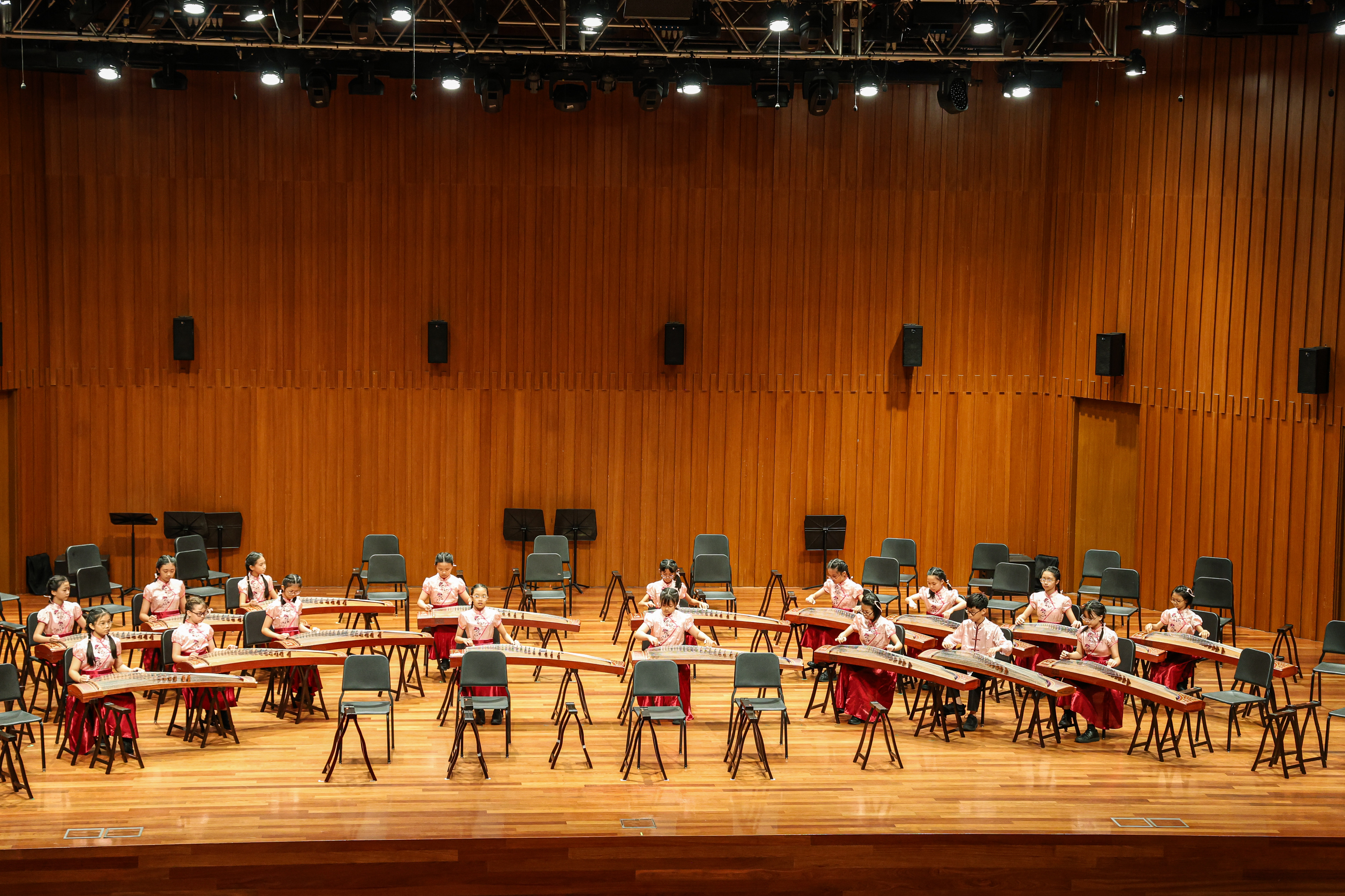 Guzheng photo 1