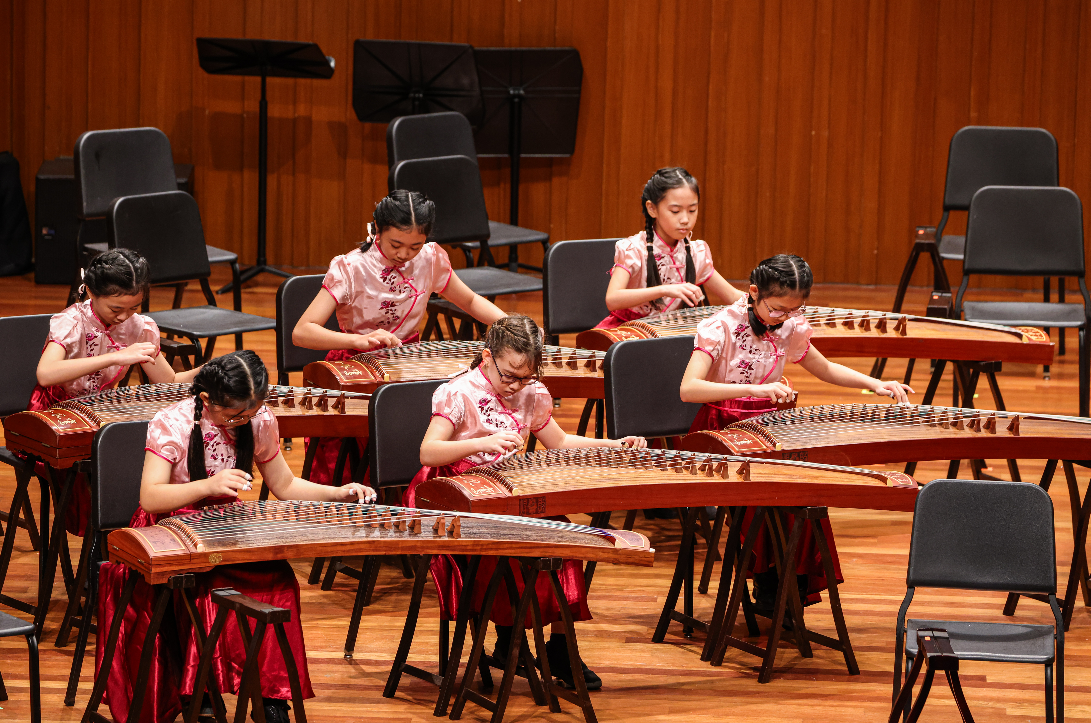 Guzheng photo 2