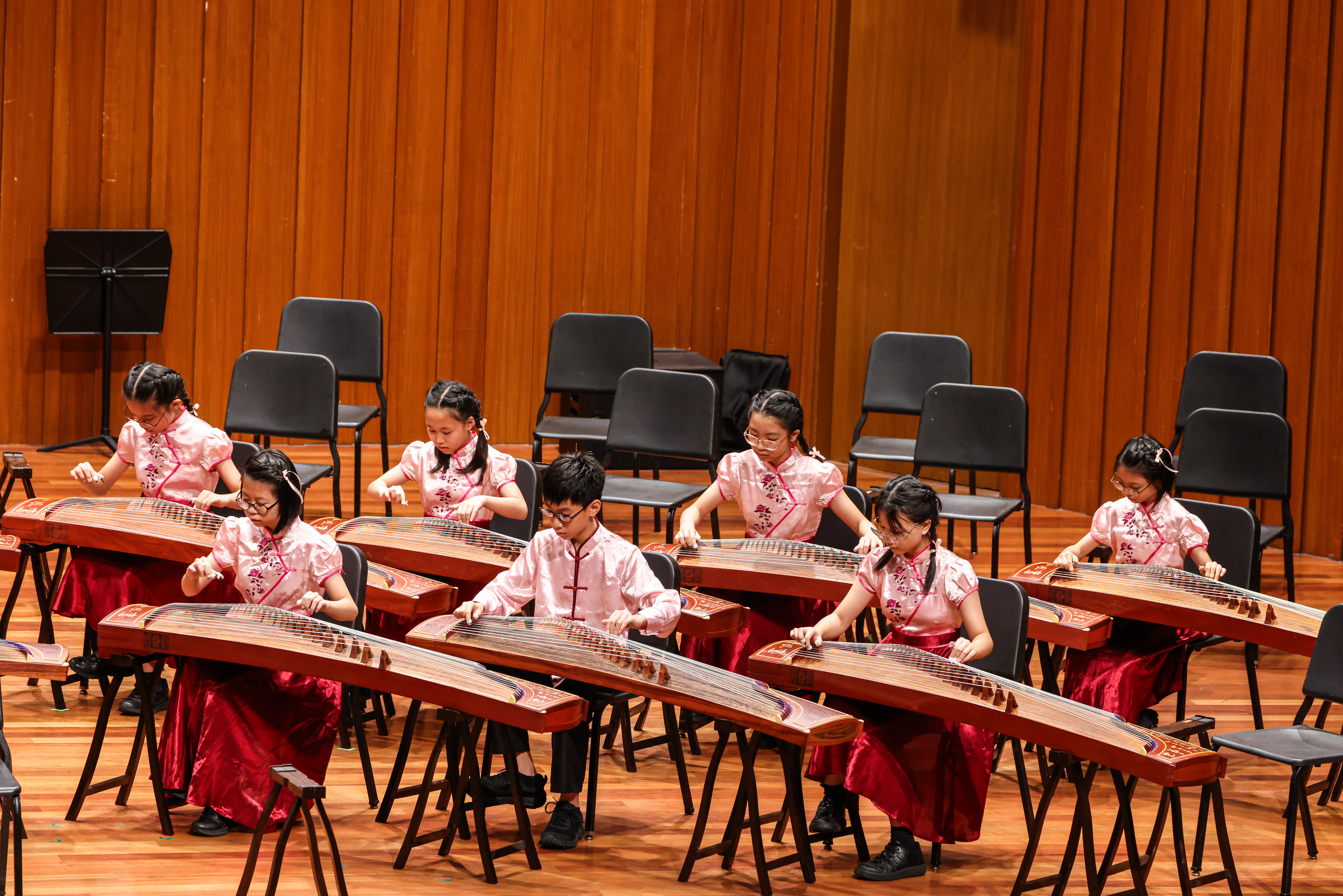 Guzheng photo 3