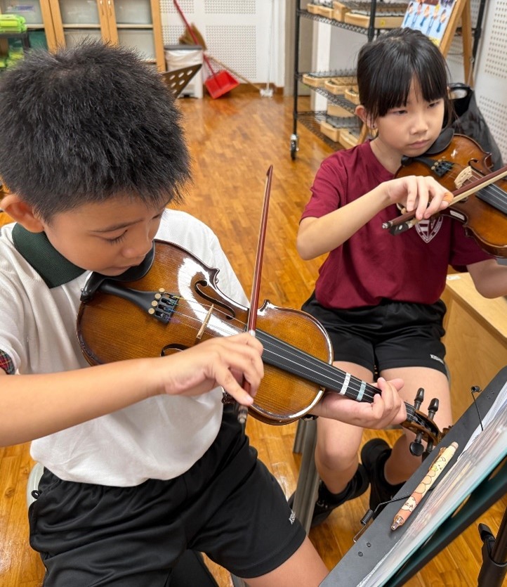 Senior members mentoring