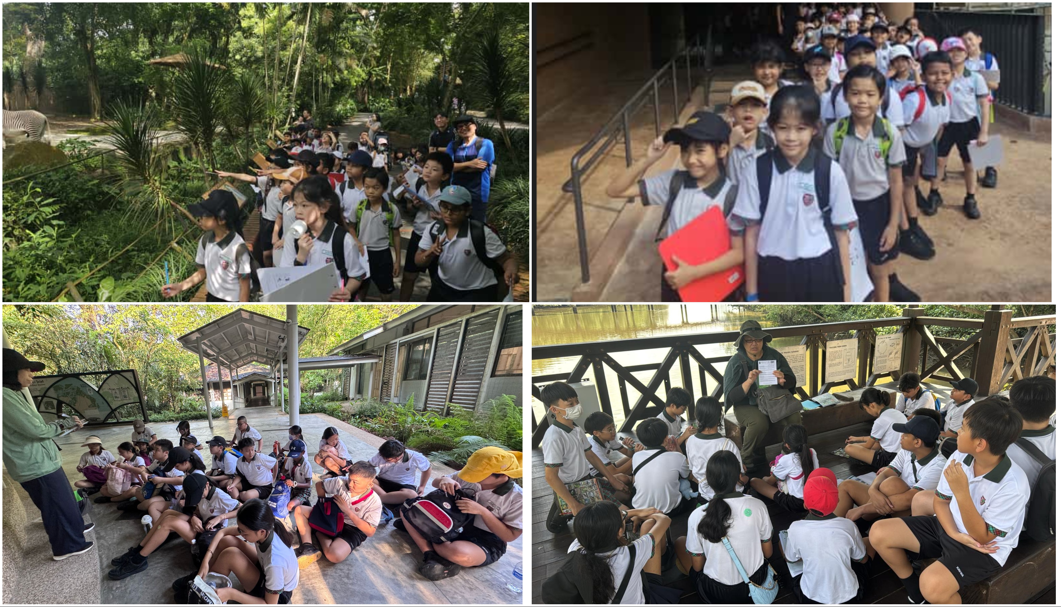 science learning journey