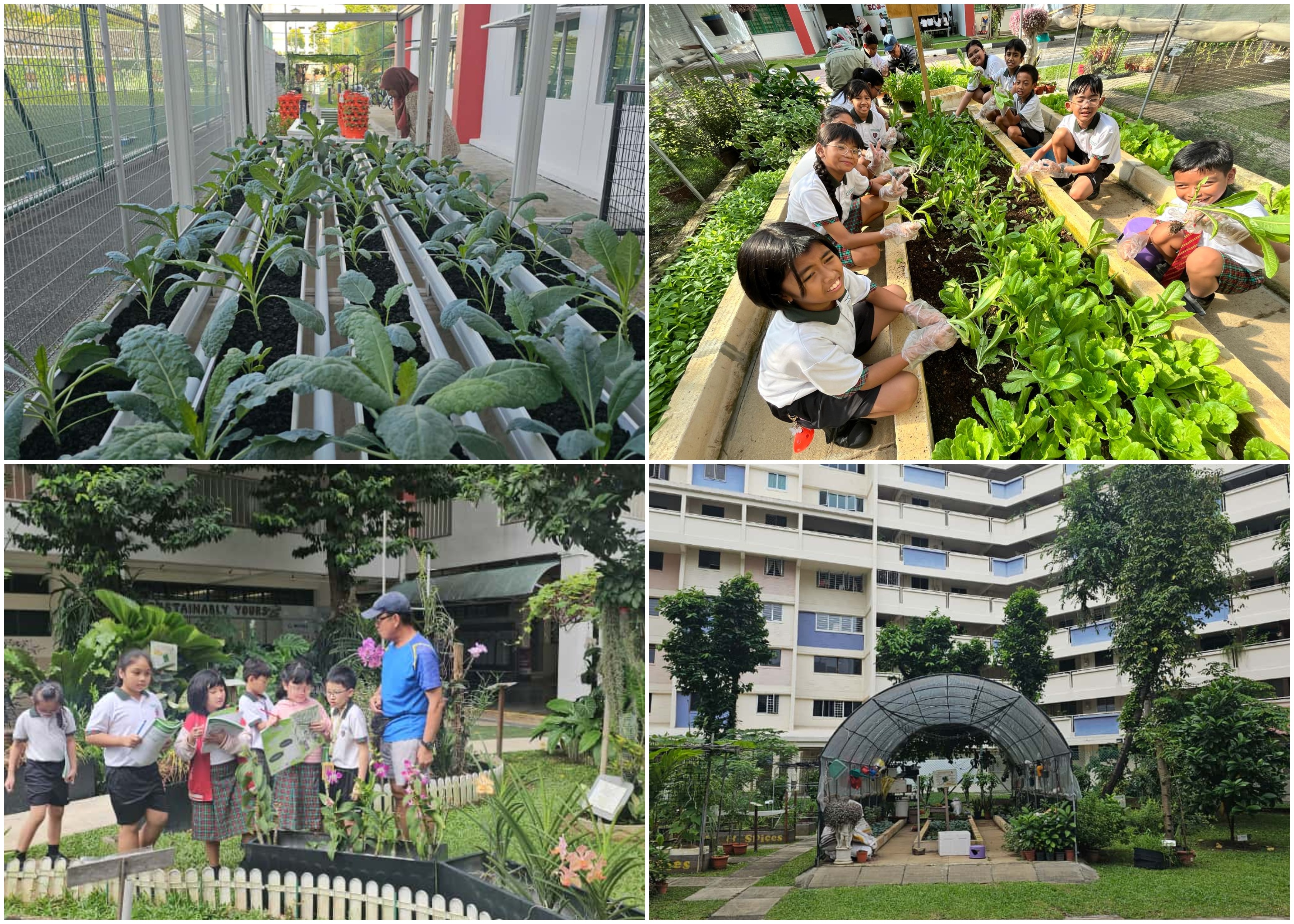 signature experience